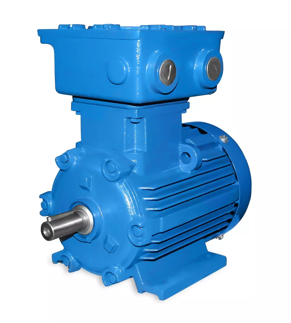 ATEX-sähkömoottori 100L 3,0 kW 2-napainen-B3